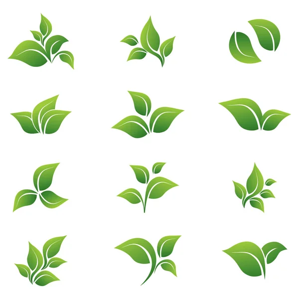 Leaves Vector Icon Set White Background Various Forms Green Leaves — Stock Vector