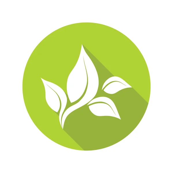Зелене Листя Ізольоване Білому Тлі Органічна Ікона Векторні Ілюстрації — стоковий вектор