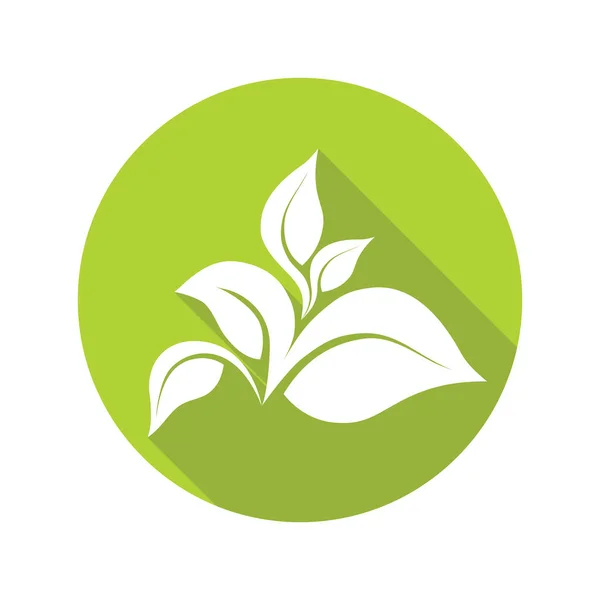 Zielone Liście Odizolowane Białym Tle Ikona Organiczna Ilustracja Wektora — Wektor stockowy