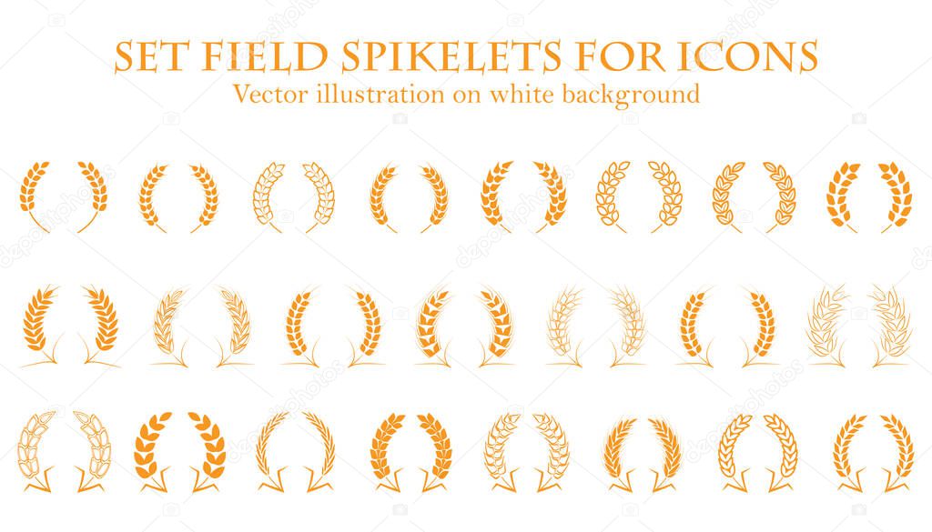Ears of wheat or rice set icons. Agricultural spikelets of wheat symbols on a white background. Organic farming farm crop seeds bread packaging or label beer. Vector ears of wheat.