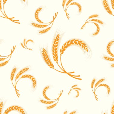 Beyaz zemin üzerinde buğday, çavdar ve arpa resimleri olan vektör çizimi. Desen.