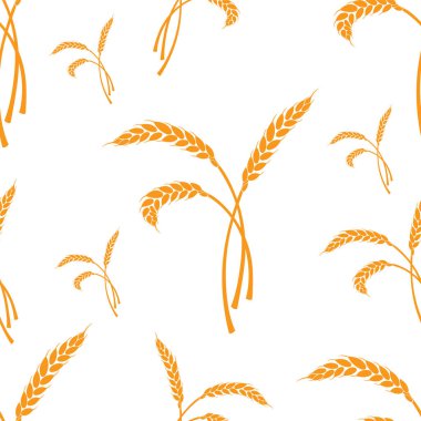 Beyaz zemin üzerinde buğday, çavdar ve arpa resimleri olan vektör çizimi. Desen.