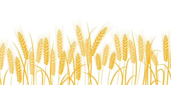 Vector Silhouette Wheat Wheat Field White Background — Stock Vector