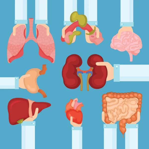 Ludzki Organ Transplantacji Rękami Baner Medyczny Ilustracja Wektora — Wektor stockowy
