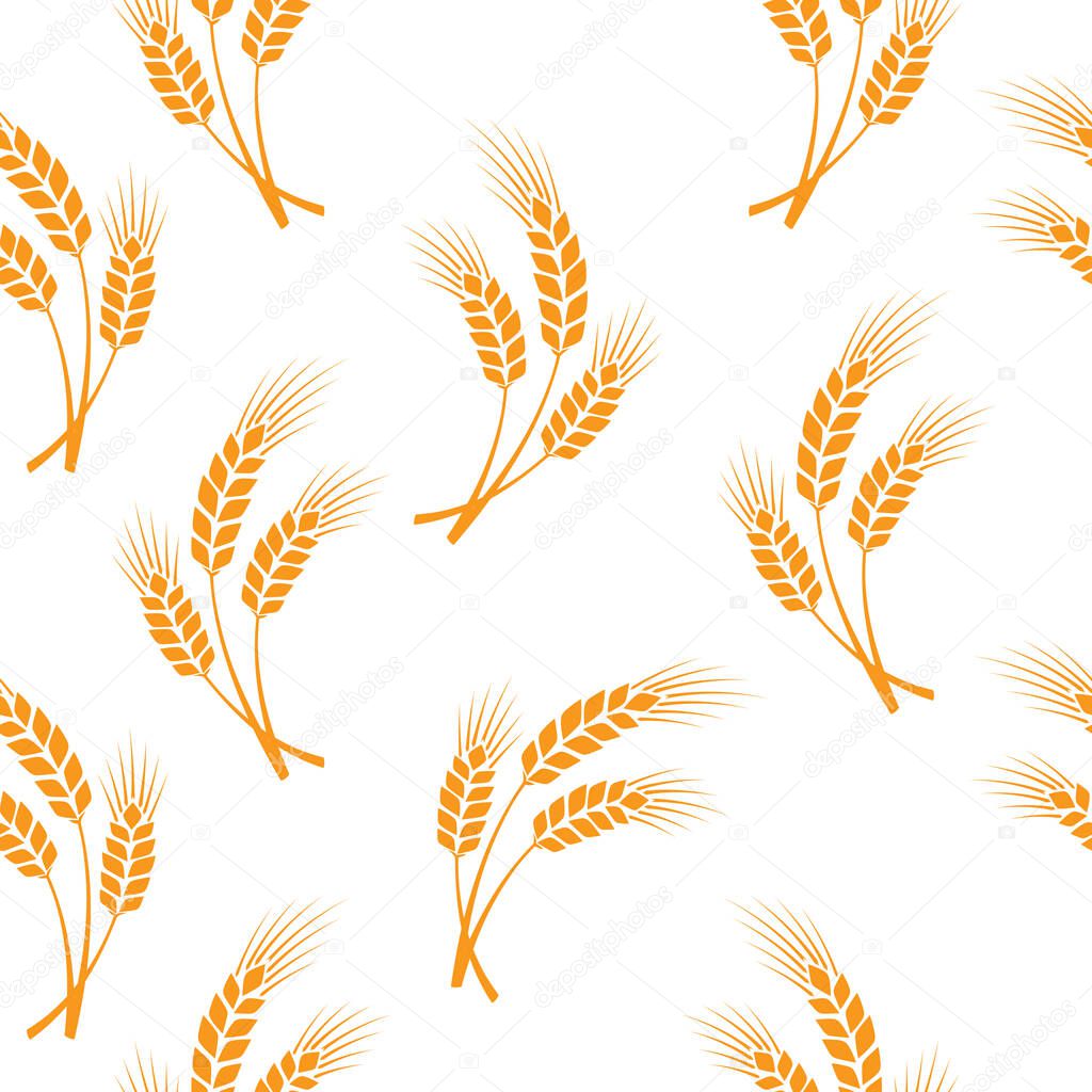 Vector illustration with pictures of wheat, rye, barley isolated on white background. Patern.