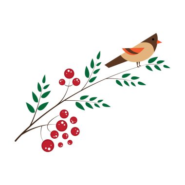 Kırmızı böğürtlen demeti. Olgunlaşmış kırmızı yaprak. Sonbahar mevsimi..