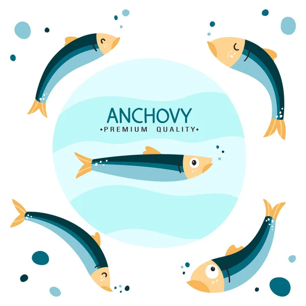 Ilustración vectorial de anchoas. Pequeños peces forrajeros salados de la familia Engraulidae. Anchoa peruana. Comida sabrosa. Dieta saludable de mariscos. Anchoa de California — Archivo Imágenes Vectoriales