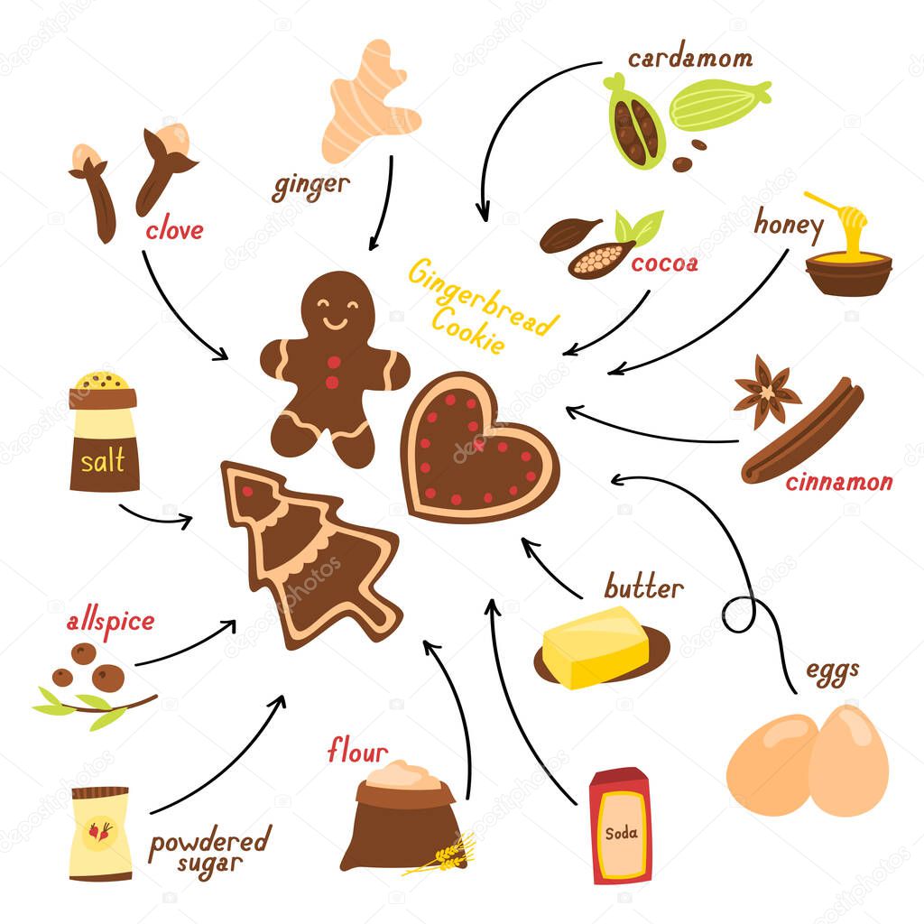 Recipe for making gingerbread cookie in English, vector illustration on a white background
