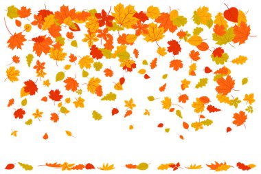 Sonbahar sınırları terk eder. Doğa tasarım elementleri ayarlandı. Akçaağaç yapraklarını süslemek için sonbahar.