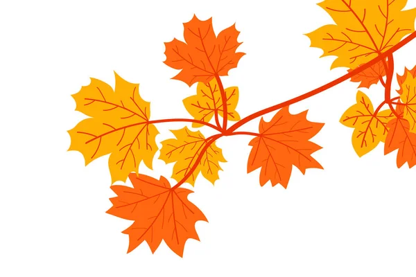 Feuilles Automne Isolées Sur Fond Blanc Dessin Animé Simple Style — Image vectorielle