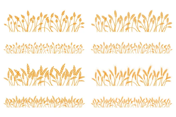 Sílhueta Vetorial Trigo Preparado Trigo Campo Fundo Branco —  Vetores de Stock