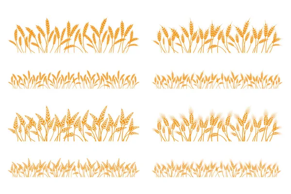 Sílhueta Vetorial Trigo Preparado Trigo Campo Fundo Branco —  Vetores de Stock