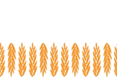 Buğday, arpa ve çavdar tohumu. Beyaz arkaplanda vektör illüstrasyonu.