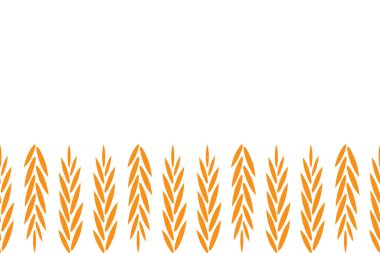 Buğday, arpa ve çavdar tohumu. Beyaz arkaplanda vektör illüstrasyonu.