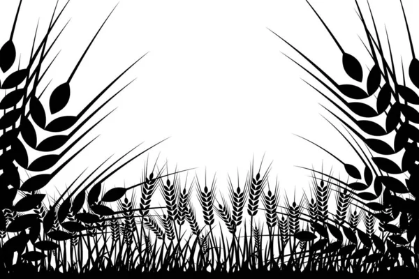 小麦のベクトルシルエット 白い背景の畑の小麦 — ストックベクタ