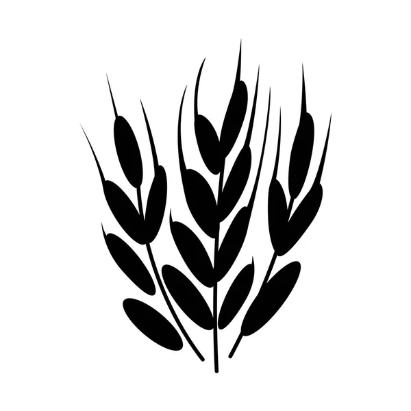 象征性的 用于商标设计小麦 有机植物 天然收获载体 — 图库矢量图片