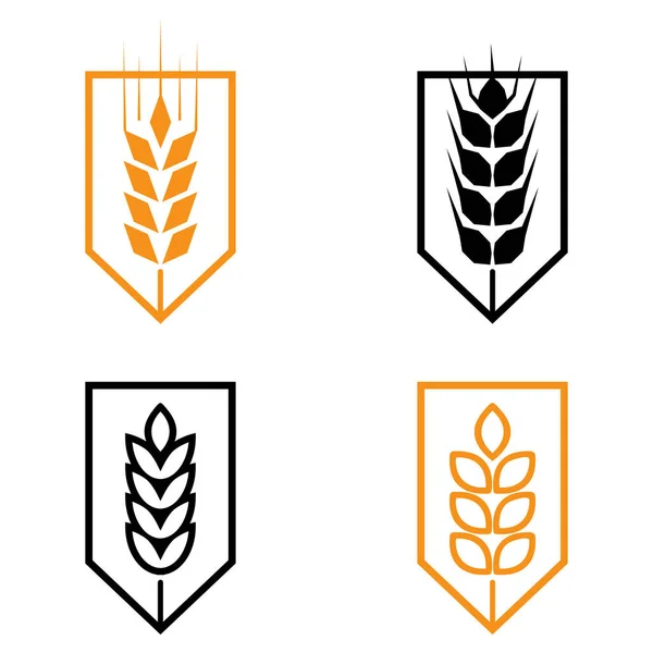 Símbolos Para Diseño Del Logotipo Trigo Agricultura Maíz Cebada Tallos — Archivo Imágenes Vectoriales
