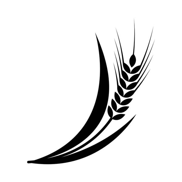 Símbolos Para Diseño Del Logotipo Trigo Agricultura Maíz Cebada Tallos — Archivo Imágenes Vectoriales
