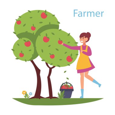 Hasatı hasat etmek - düz tasarım çizimi. Ağaçtan elma toplayan tatlı bir kızla kompozisyon. Verimli ve başarılı tarım sektörü kavramı.