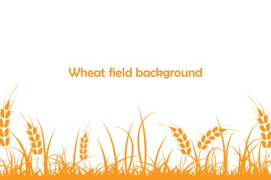 Buğday silueti. Beyaz arka planda tarlada buğday