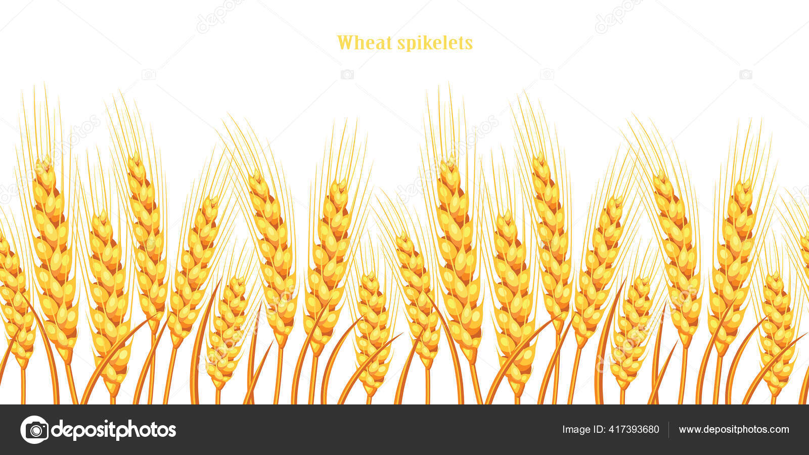 Vector Silhouette Wheat Wheat Field White Background Stock Vector by