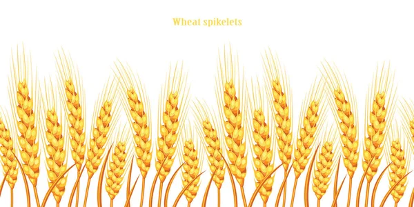 Векторний Силует Пшениці Пшениця Полі Білому Тлі — стоковий вектор
