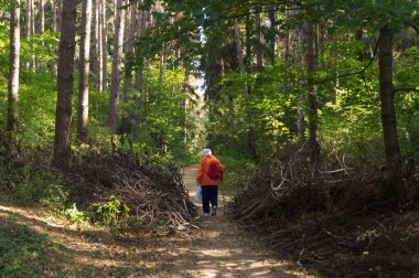 An elderly woman with a crutch, backpack and bag walks along a path to the forest