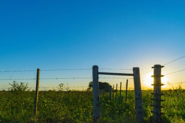 Doğanın güzel manzarası