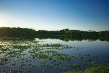 Gölde güzel bir gün batımı. doğa arkaplanı.