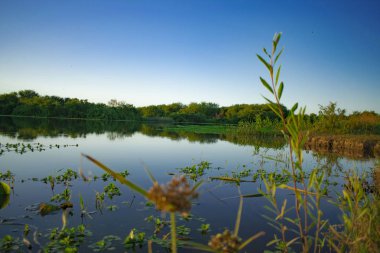 Arkasında bir göl olan güzel bir manzara.