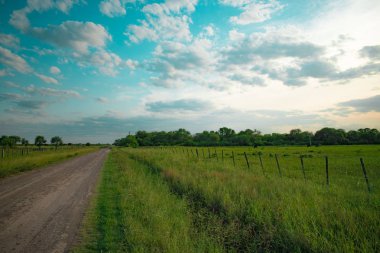 Yazın buğday tarlası olan toprak yol.