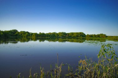 Güzel yaz günbatımı manzarası Göl ve sudaki ağaçların yansıması Rusya