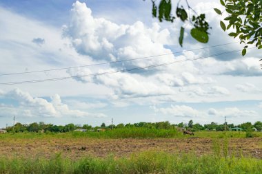 Mavi gökyüzü ile yeşil alan