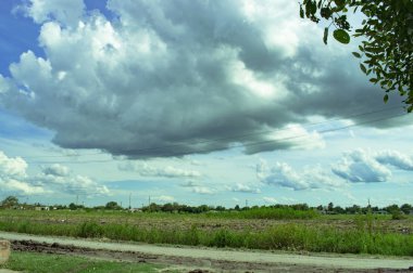 Köydeki kırsal bir yolun güzel manzarası.