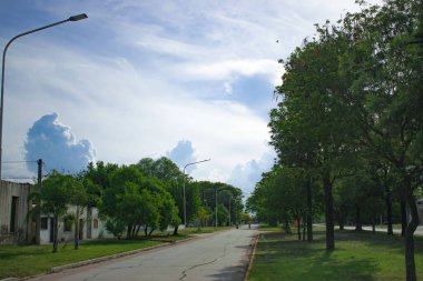 Parkın güzel manzarası