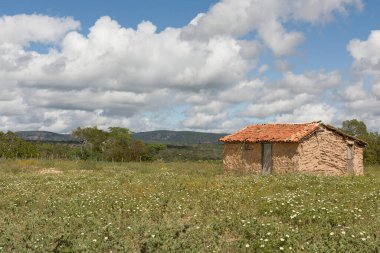 Buique, Pernambuco, Brezilya - 17 Haziran 2016: Brezilya 'nın kuru iç kesimlerinde, Vale do Catimbau' nun çiçek tarlalarındaki çamurlu ev - 