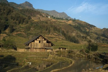 Sapa, Lao Cai, Vietnam - 21 Mart 2011: Sapa pirinç tarlalarında geleneksel çiftçi ailesinin ahşap evi
