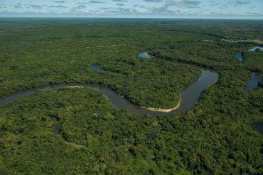 Aquidauana, Mato Grosso do Sul, Brezilya: Brezilya 'nın Pantanal olarak bilinen bataklıklarındaki Rio Negro' nun (Kara Nehir) havadan görünüşü