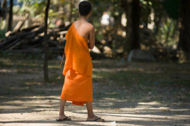 Siem Reap, Kamboçya - 22 Ocak 2011: Turuncu cübbeli çaylak keşiş tapınağın ve Siemp Reap 'teki Theravada Budist okulunun çevresinde yürüyor