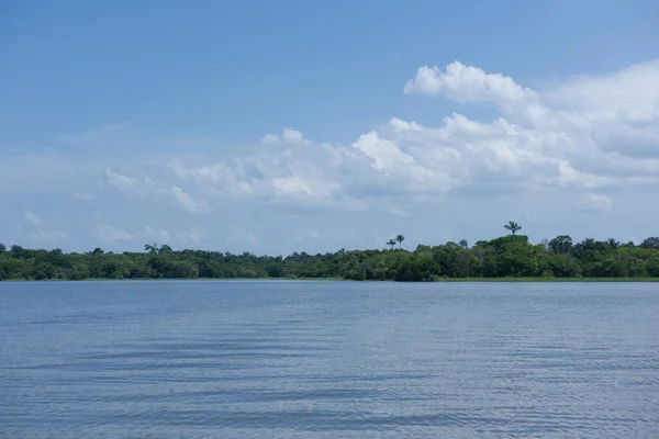 在阳光灿烂的日子里亚马逊河流域的水域和植被 — 图库照片
