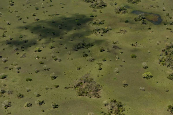 Aerial View Green Fields Brazilian Pantanal Mato Grosso Sul State — Stock Photo, Image