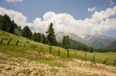 Pahalgam, Jammu ve Kashmir, Hindistan - 01 Ağustos 2011: Hindistan 'ın kuzeyindeki Aru Vadisi' nin göz kamaştırıcı manzarası, Himalaya sıradağlarındaki Pakistan sınırına yakın