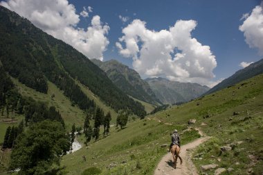 Pahalgam, Jammu ve Kashmir, Hindistan: - 02 Ağustos 2011: Himalaya Dağları arasında Aru Vadisi 'nde ata binen turist