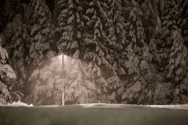 Schneefall Mit Wald Und Straßenlaterne Schneereichen Kalten Winter — Stockfoto