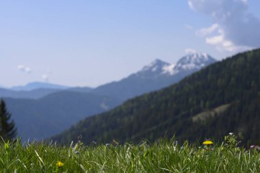 önünde keskin çim çayır ve arka planda keskin olmayan dağlar