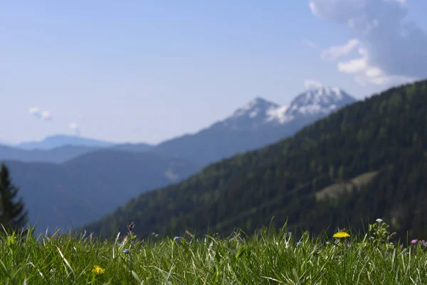 Prato Erboso Affilato Fronte Montagne Poco Affilate Sullo Sfondo — Foto Stock