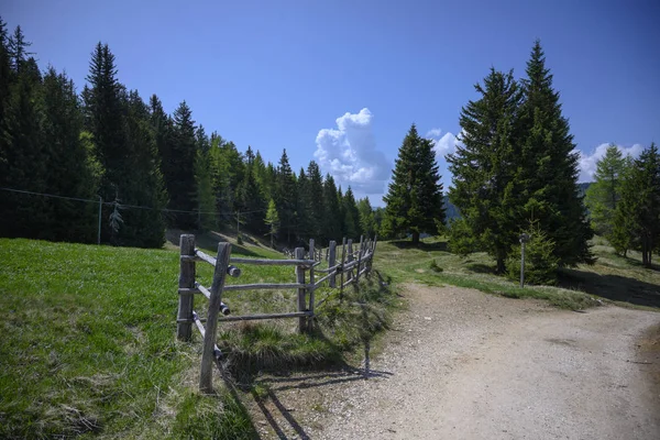 Prato Alpino Con Bosco Sentiero Recinzione Legno — Foto Stock