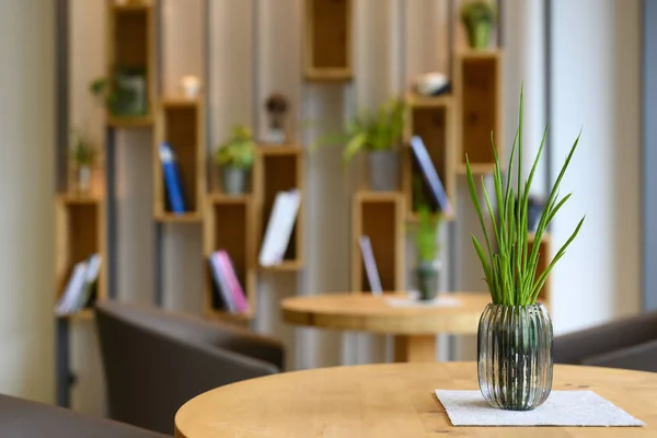 Indoor Design Green Plant Table Decorated Wooden Metal Bookshelf Background — Stock Photo, Image