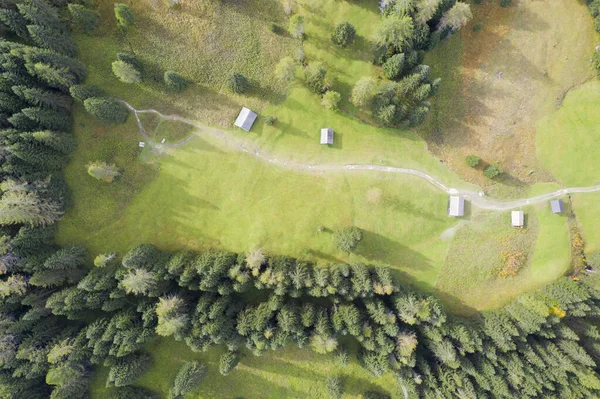 Vista Aerea Radura Prato Montagna Autunno Con Alberi Baite — Foto Stock