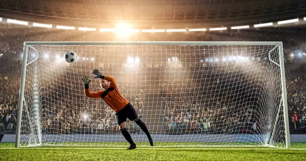 Kaleci profesyonel futbol stadyumu bir atlama bir hedefi kaydetmek çalışıyor. Stadyum ve kalabalık 3d yapılır.
